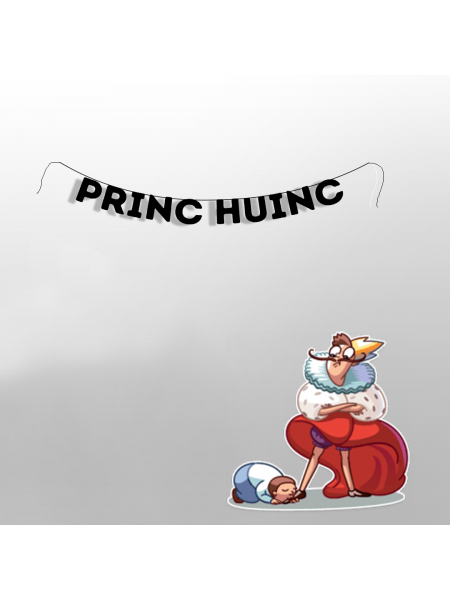Гирлянда "PRINC HUINC" 1 шт