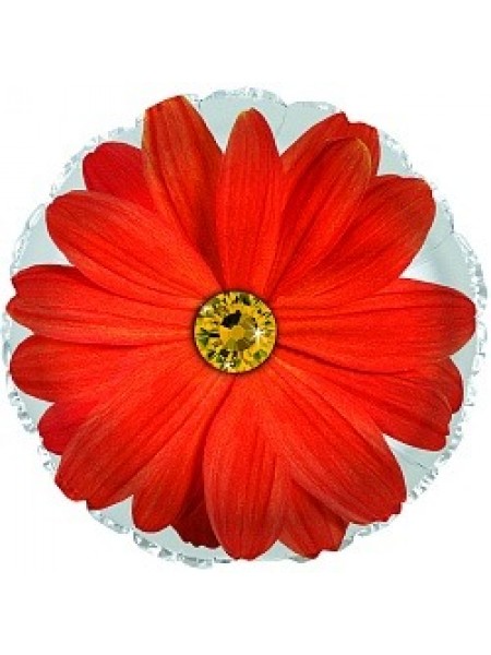 Шар с красным цветком и гелием 1 шт