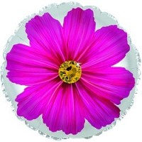 Шарик с фиолетовым цветком и гелием